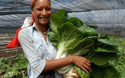 Recetario agroecológico para una alimentación soberana