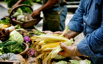 Sin agroecología no puede haber soberanía alimentaria.