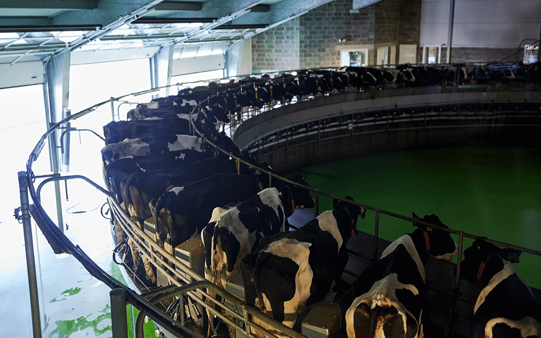 Industria láctea, calentando el planeta y hundiendo comunidades rurales