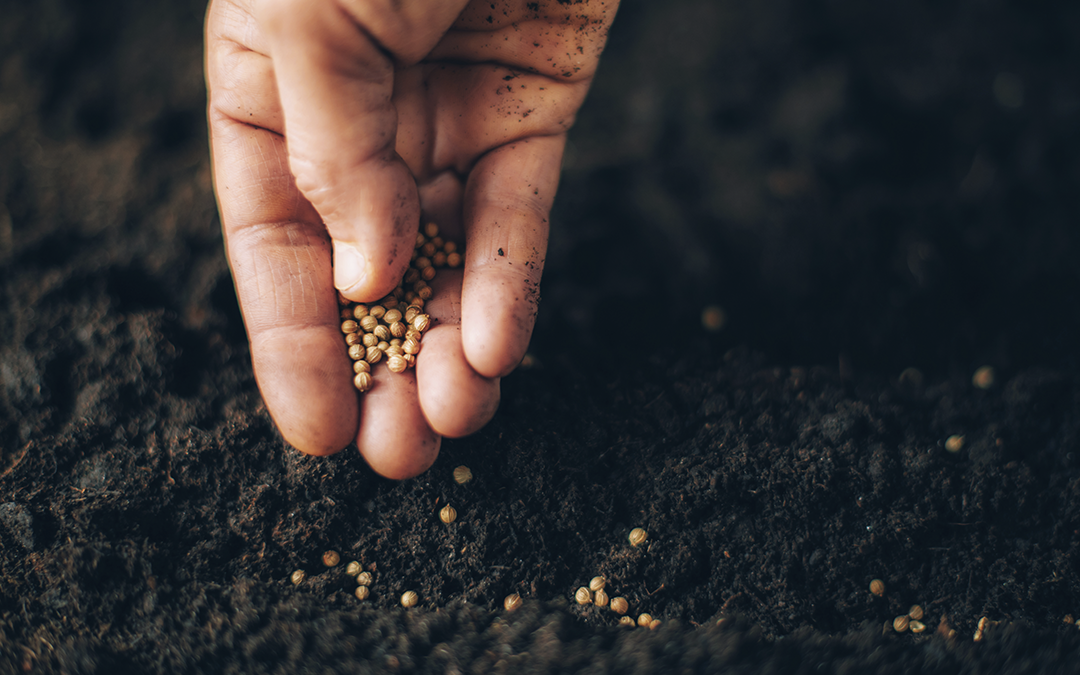 Las semillas, la agroecología y la tierra, la base para un nuevo modelo agrícola