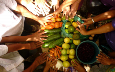 Construcción de soberanía alimentaria desde los territorios con base en la agroecología