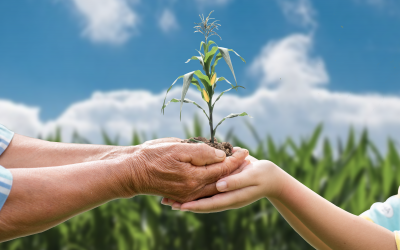 Agricultura ecológica: un modelo para la libertad y el desarrollo