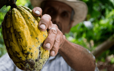 EL CAMPESINO