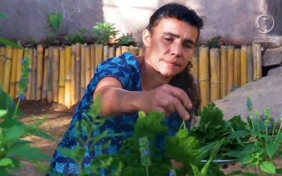 Salud y la Alimentación son posibles con la agroecología