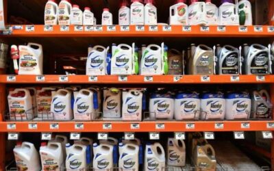 La corporación Bayer, dueña de Monsanto desde 2018, continúa sumando derrotas judiciales en EE.UU