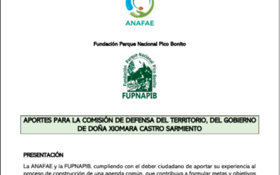 Aportes para la Comisión de Defensa del Territorio, del gobierno de doña Xiomara Castro Sarmiento
