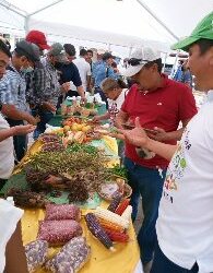 Feria de semillas, instancia centro occidente