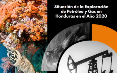 Situación de la Exploración de Petróleo y Gas en Honduras en el Año 2020