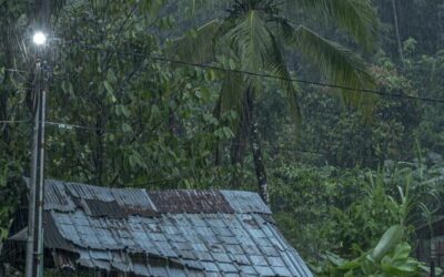 Biodiversidad, sustento y culturas #124