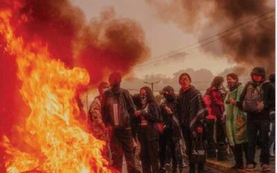 Biodiversidad, sustento y culturas #126